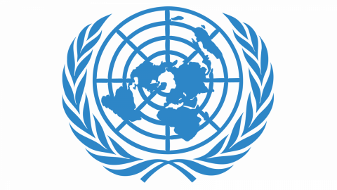 Joint Statement on the situation in Ukraine by the Special Representatives of the Secretary-General for Children and Armed Conflict and on Violence against Children